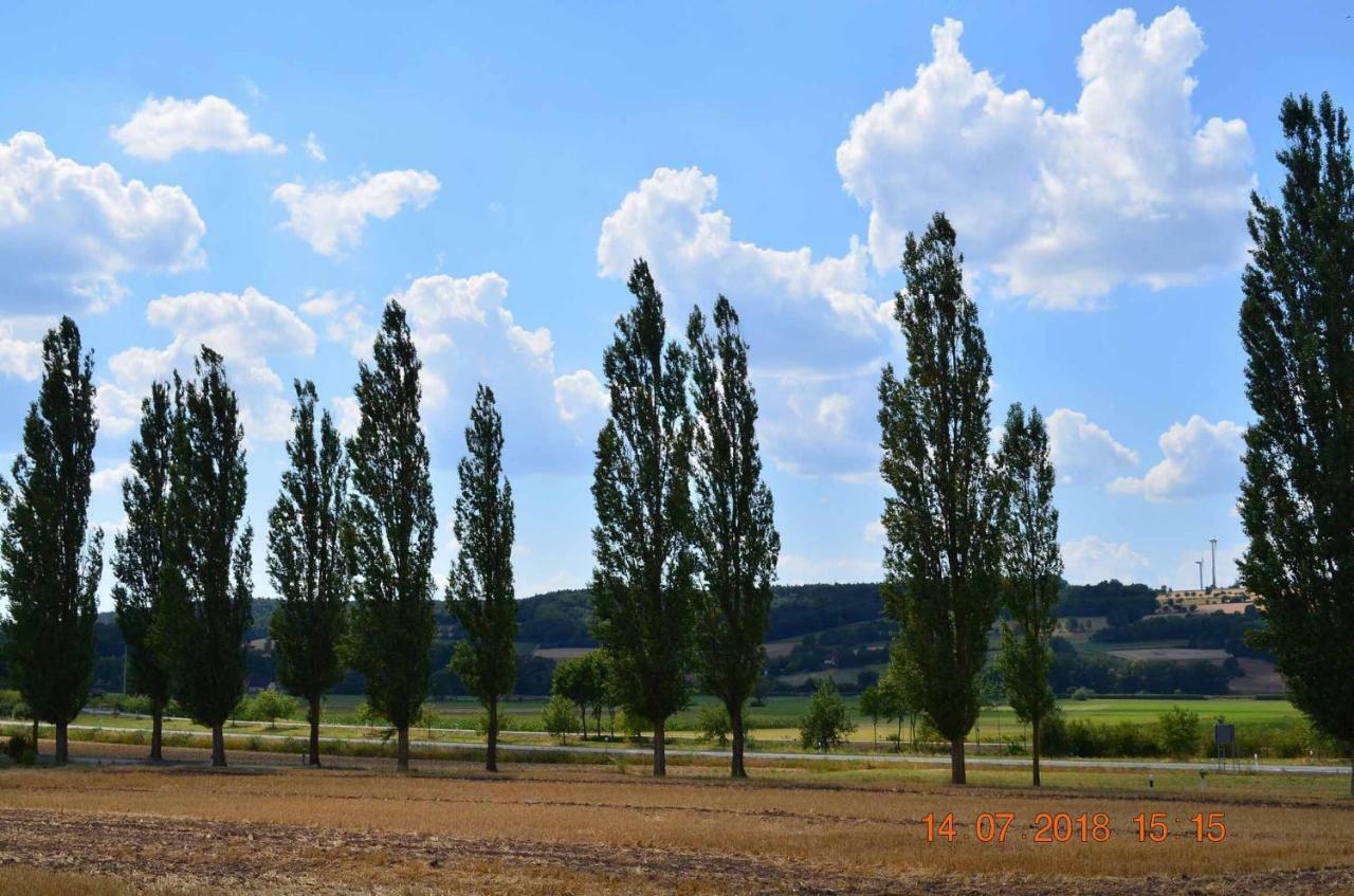 Villa Merzbach - Wohnen Wie Im Museum Mit Komfort Untermerzbach Buitenkant foto